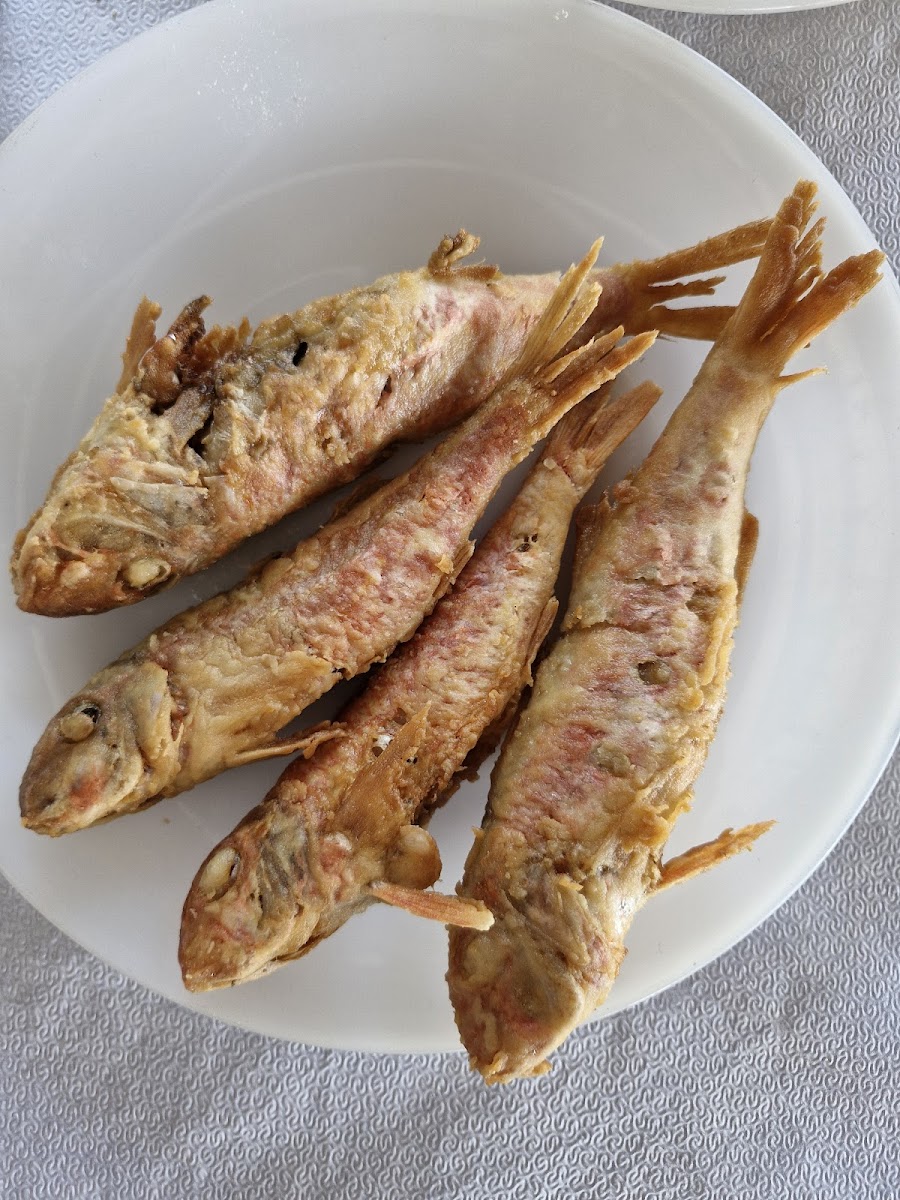 Glaros fish tavern - Photo 3