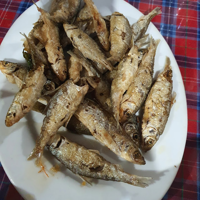 Cá Sông