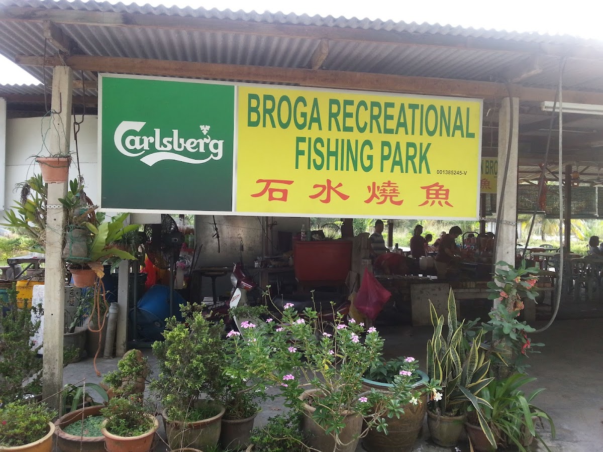石水烧鱼 Ikan Bakar Broga