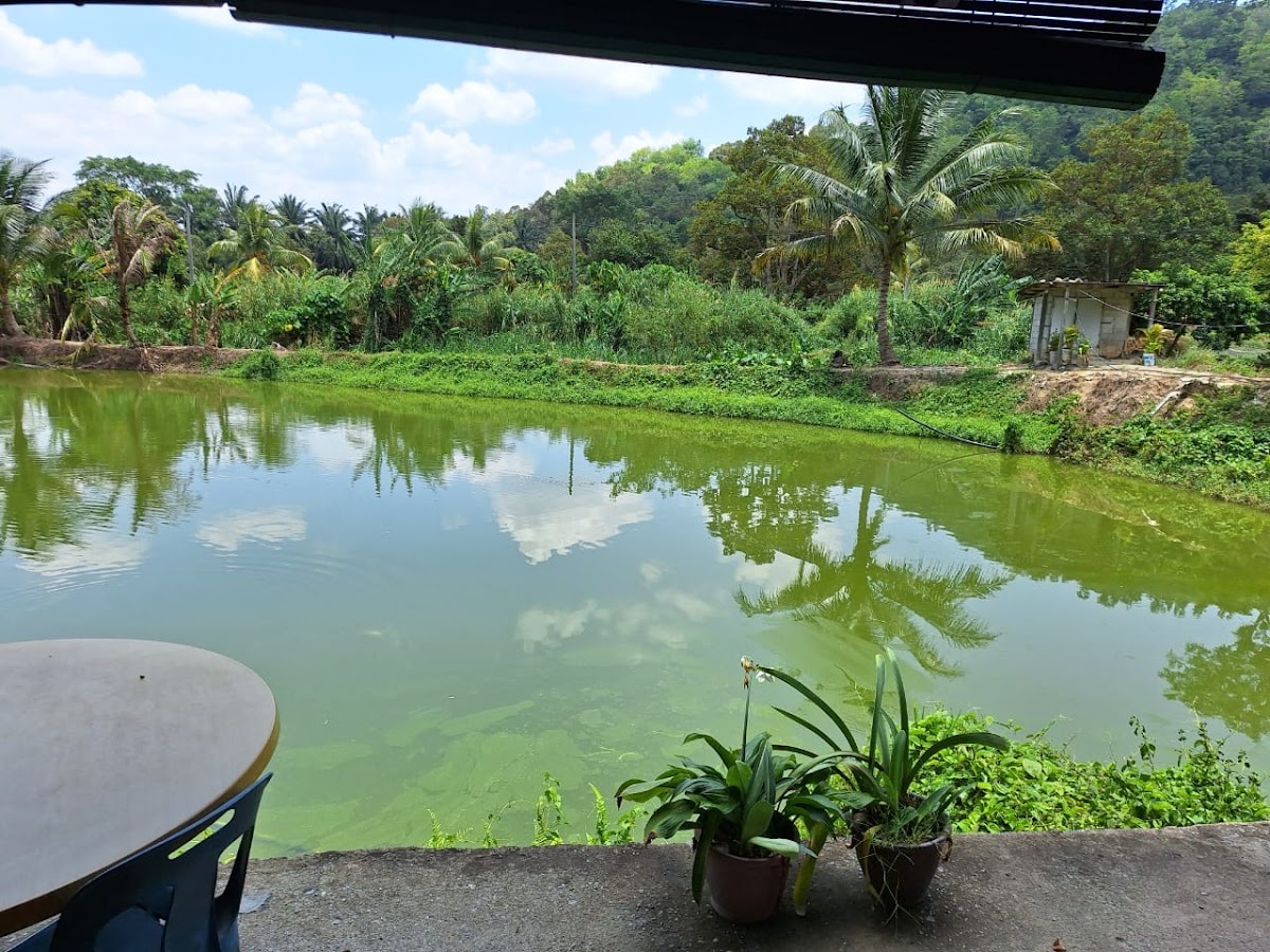 石水烧鱼 Ikan Bakar Broga - Photo 3