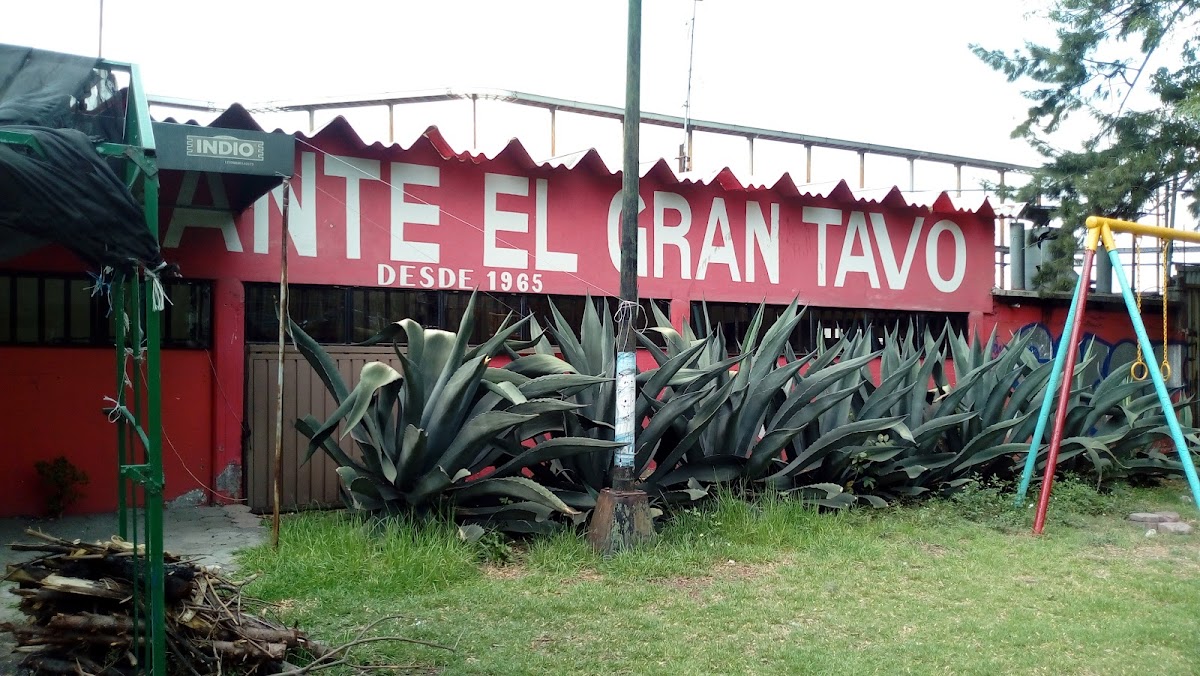 Restaurante El Gran Tavo Desde 1965