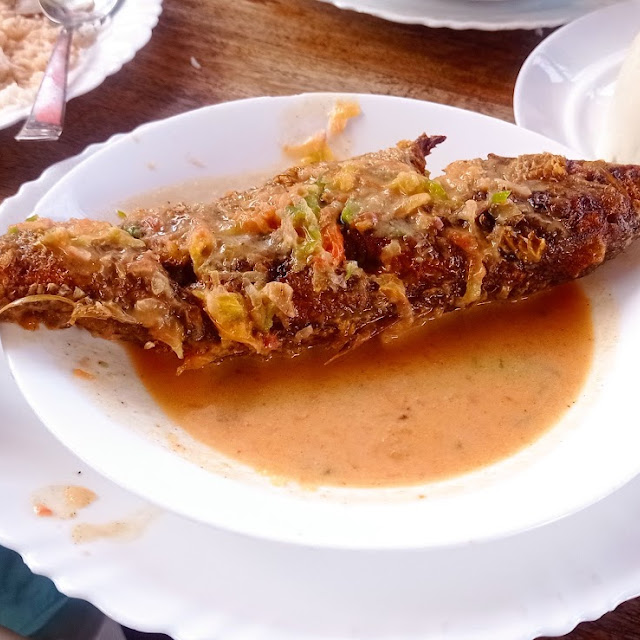Red Snapper