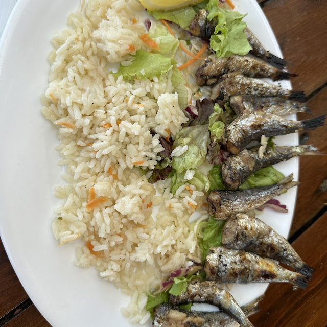 Sardines