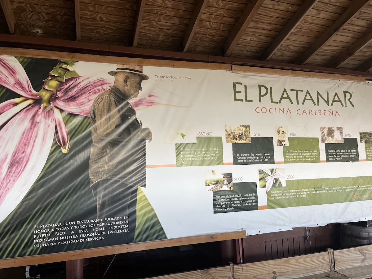 El Platanar - Photo 5