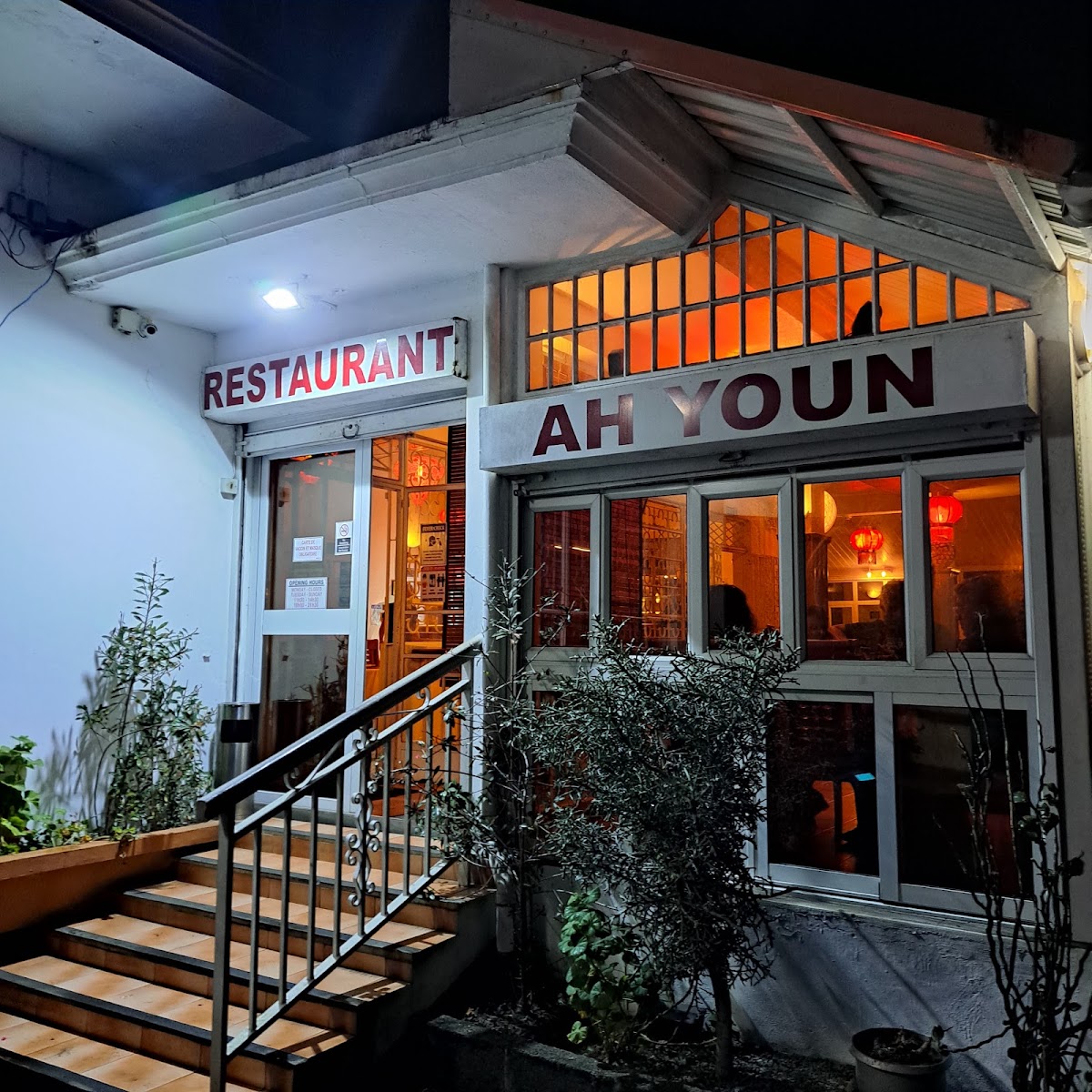 Ah-Youn VRAIE CUISINE CHINOISE