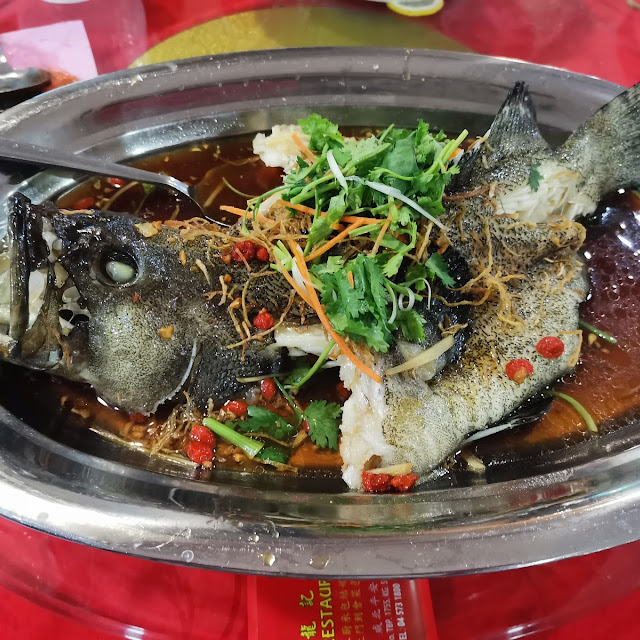 石班鱼清蒸
