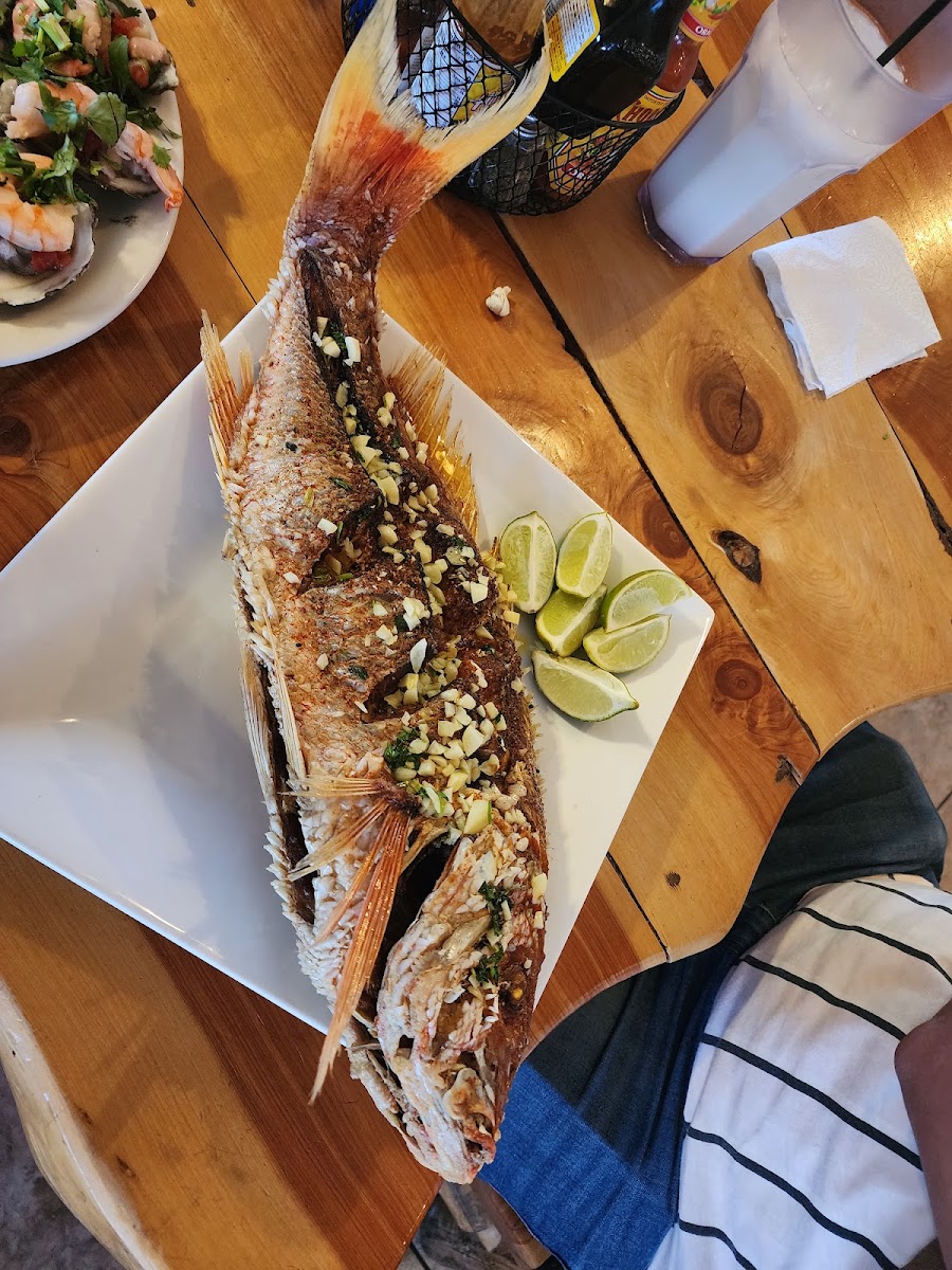 Barracudas - Photo 5