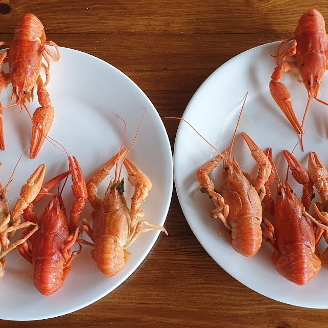 Crayfish