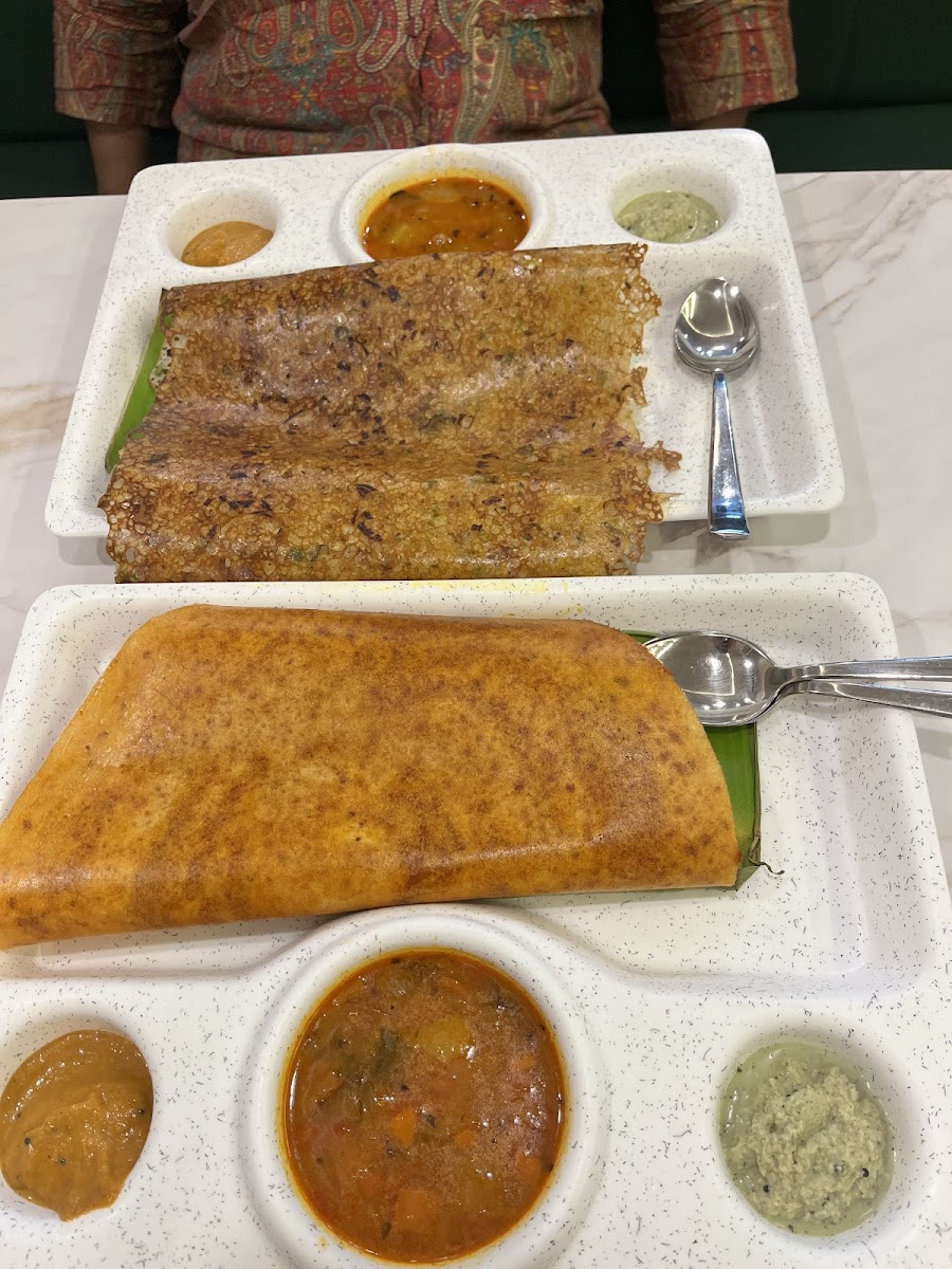 Unaav - The Dakshin Cafe (Paschim Vihar) - Photo 9