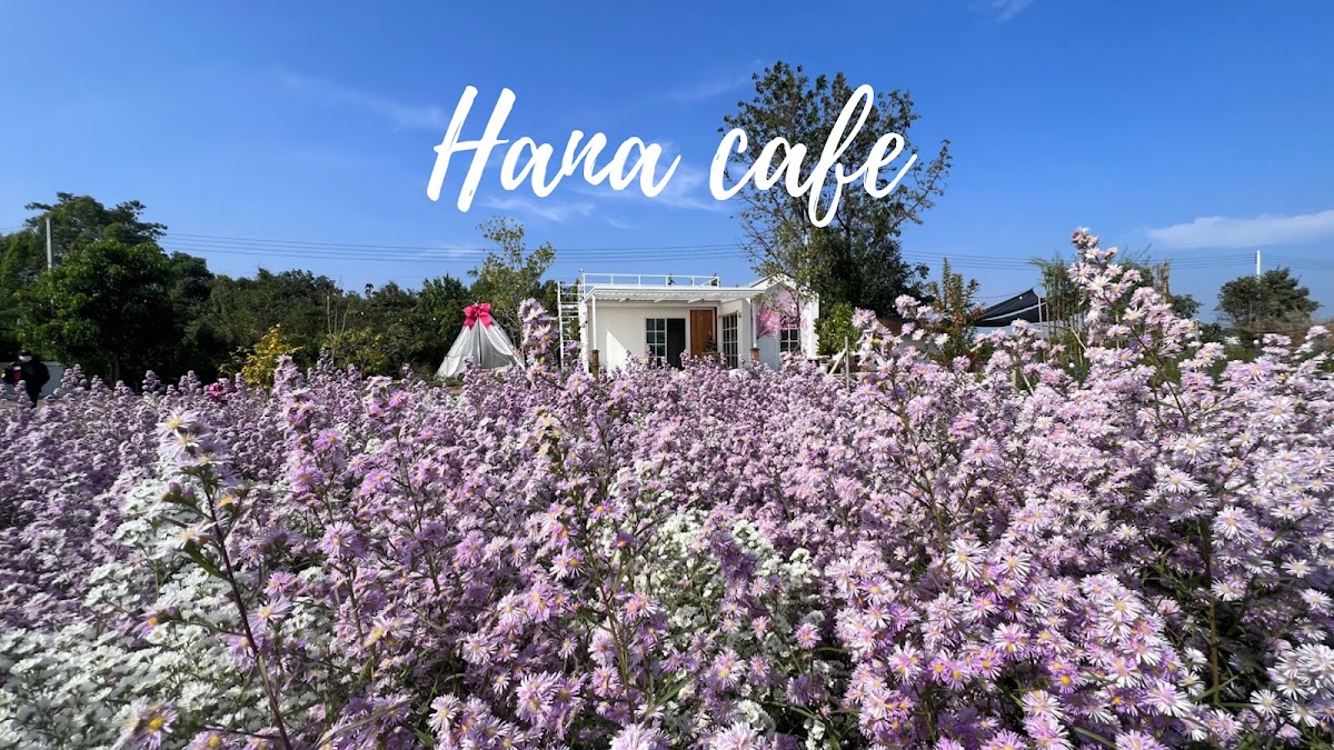 Hana Cafe' - ฮานะคาเฟ่ - Photo 3