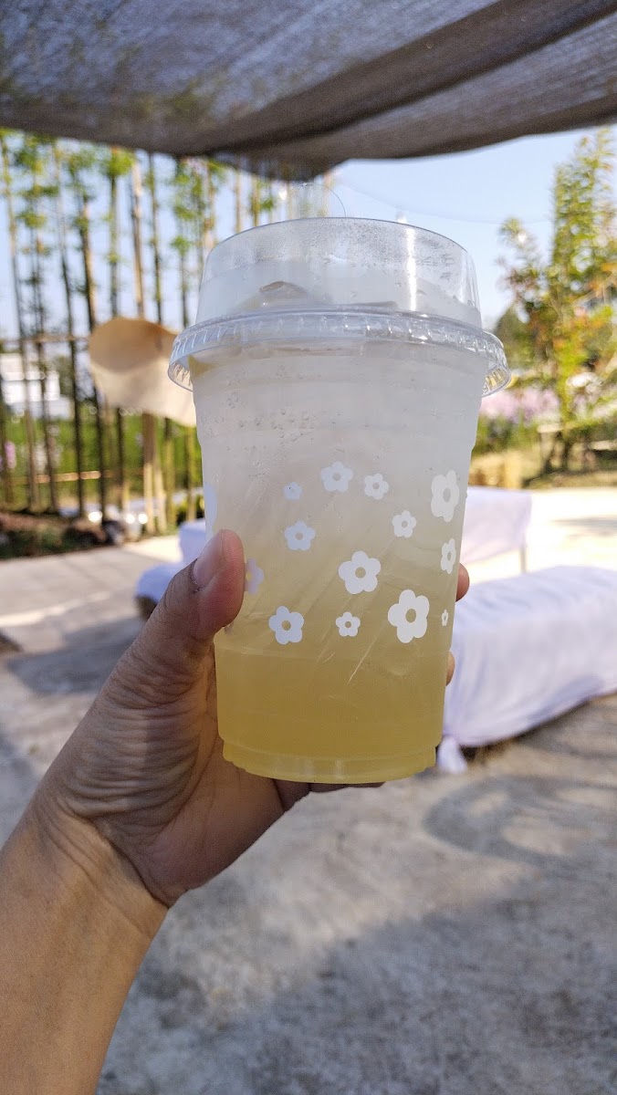 Hana Cafe' - ฮานะคาเฟ่ - Photo 5