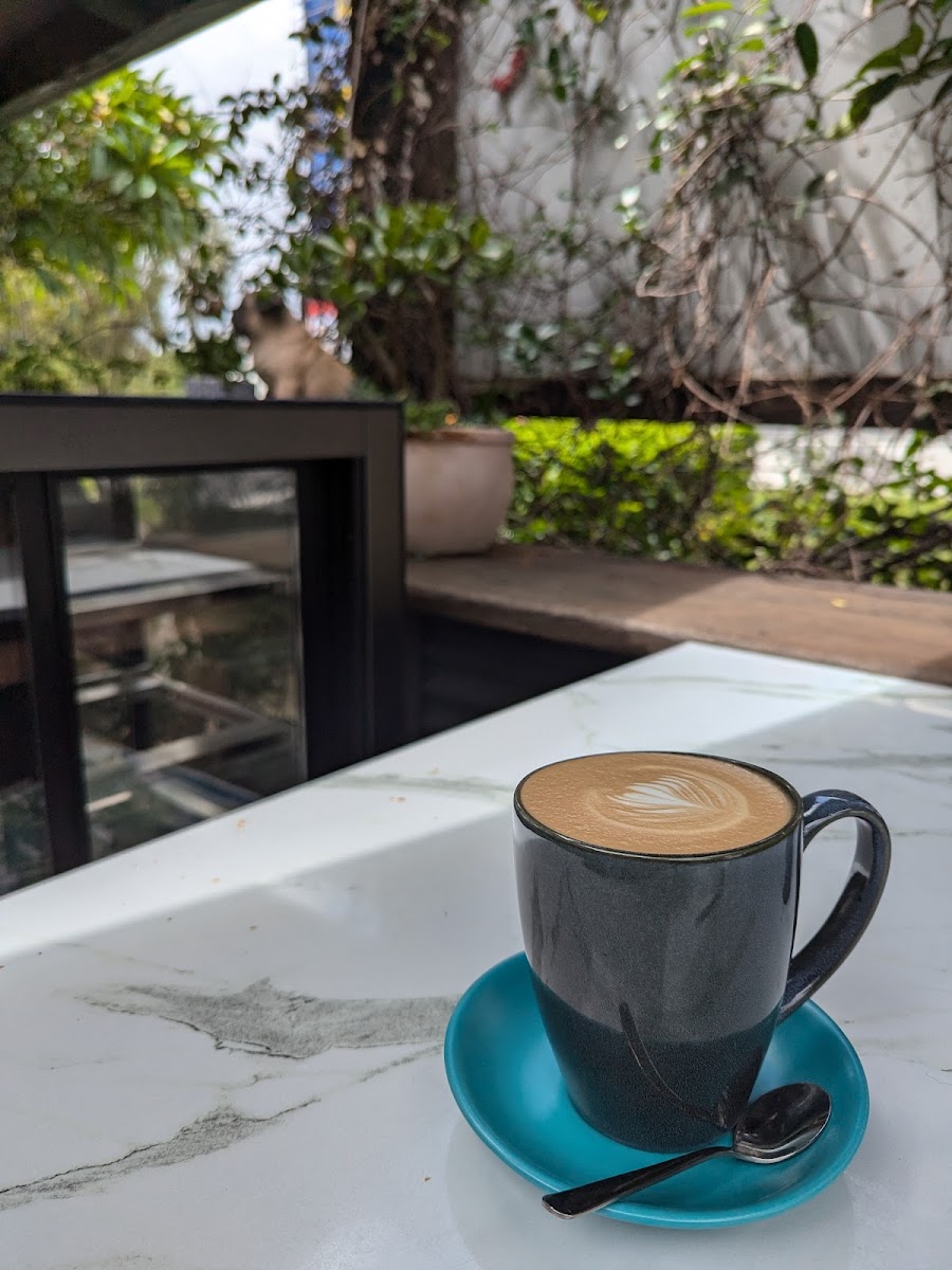 The AVID Coffee Lounge - Photo 9