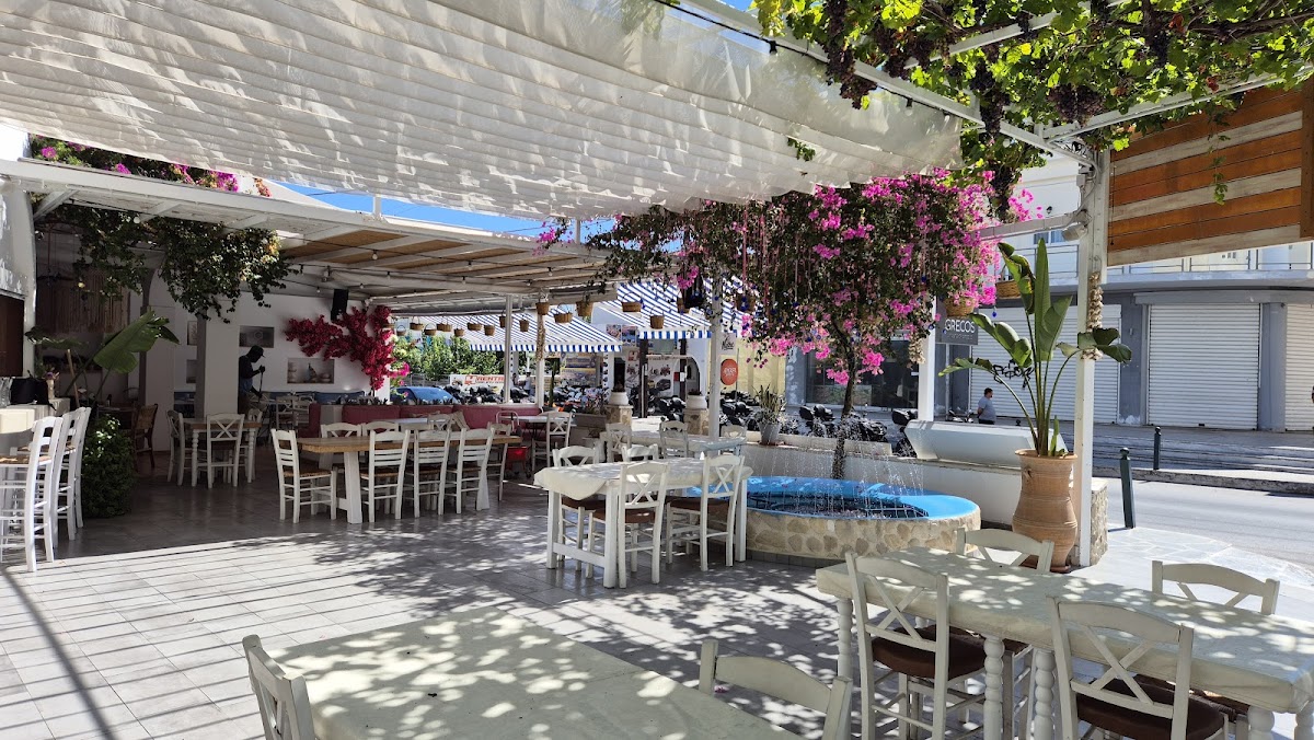 Grecos restaurant laganas - Photo 2