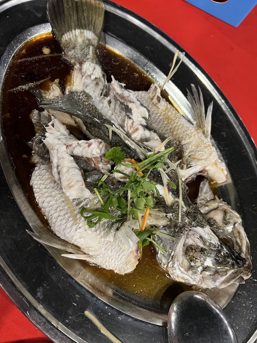 RESTORAN YX 渔香百年海鲜村 (Kampung Teluk Jawa) - Photo 5