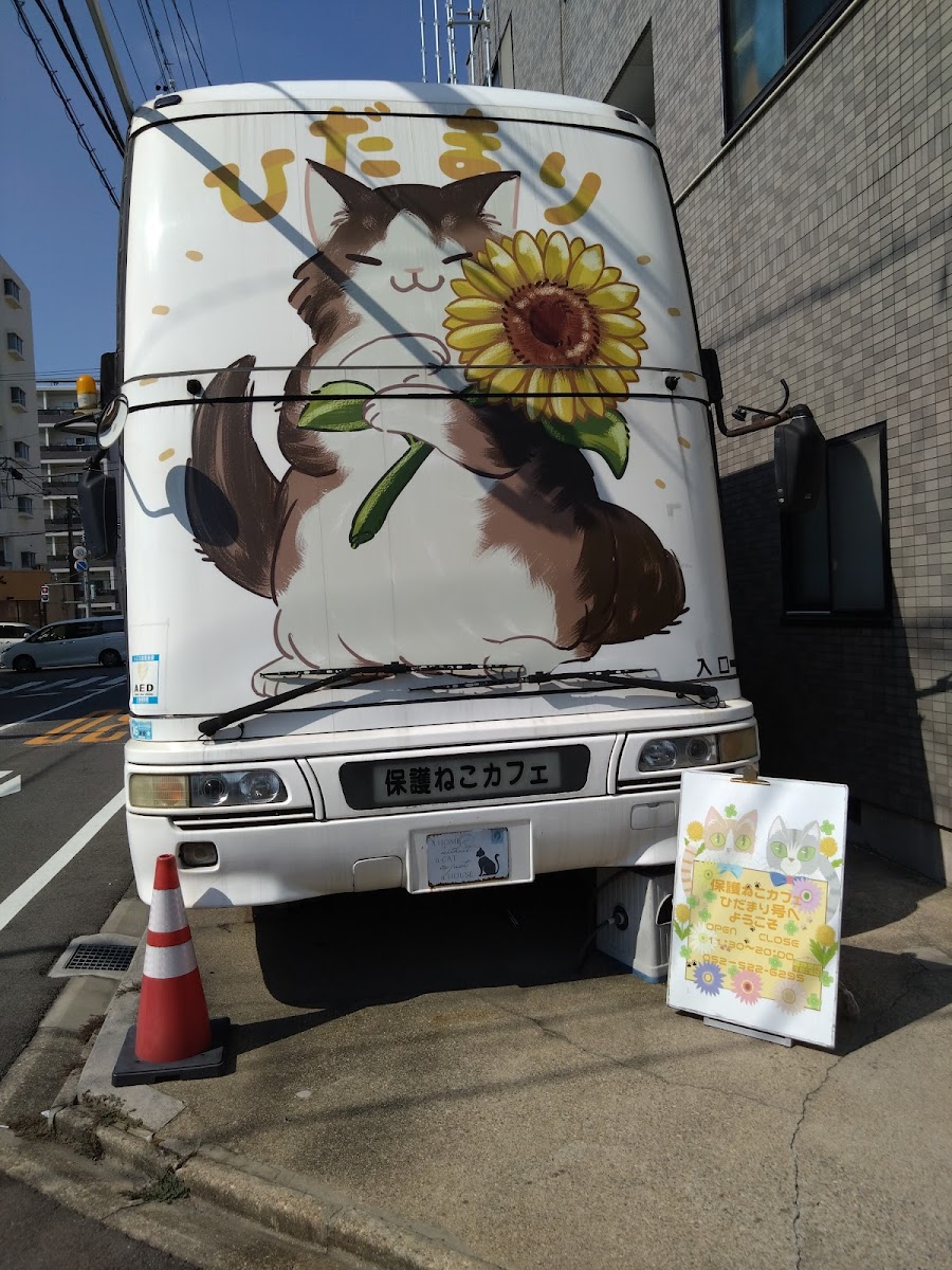 Hidamari Cat Rescue Cafe - Photo 3