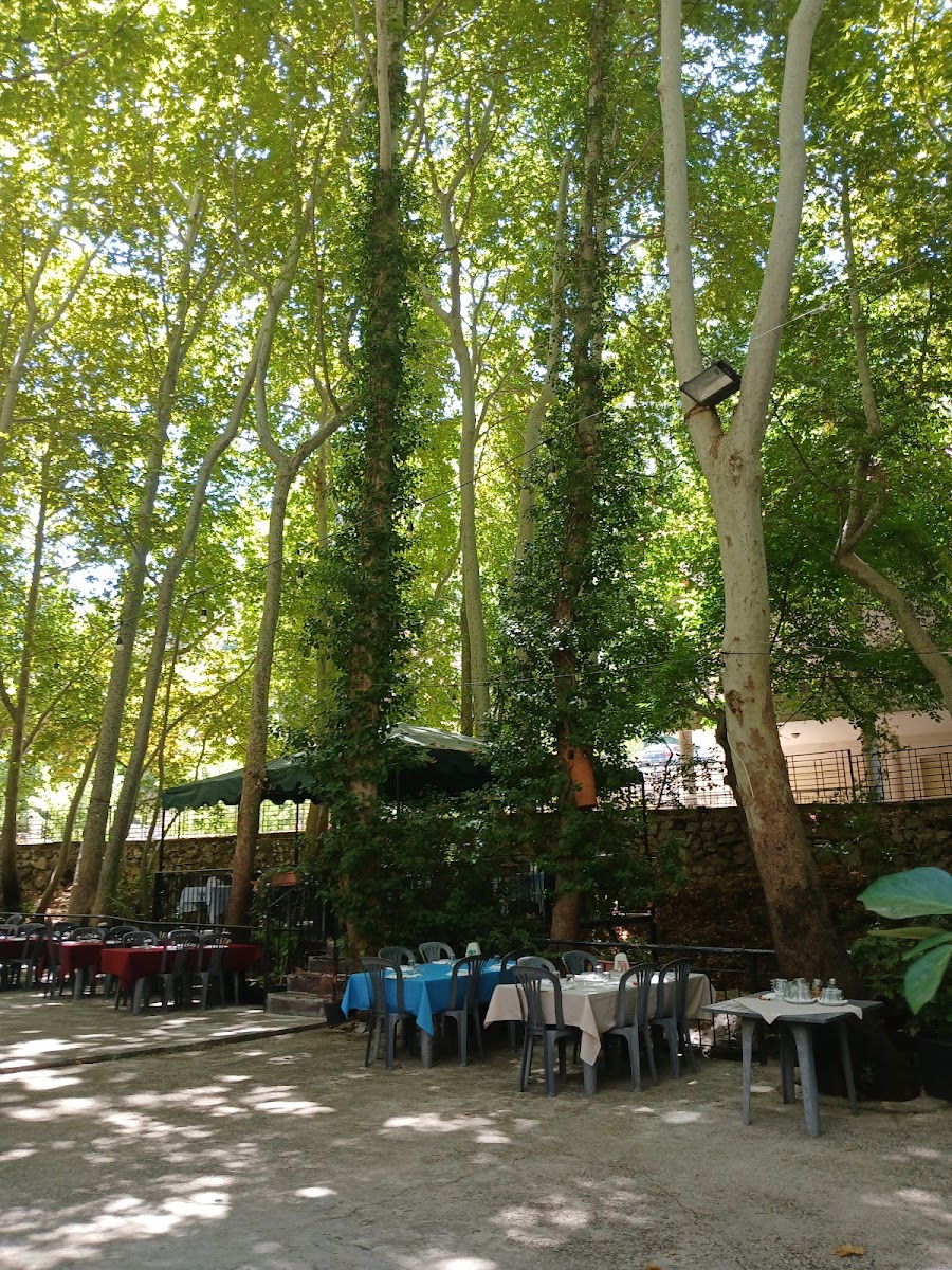 ملتقى النهرين Multaka Al Nahrain - Photo 3