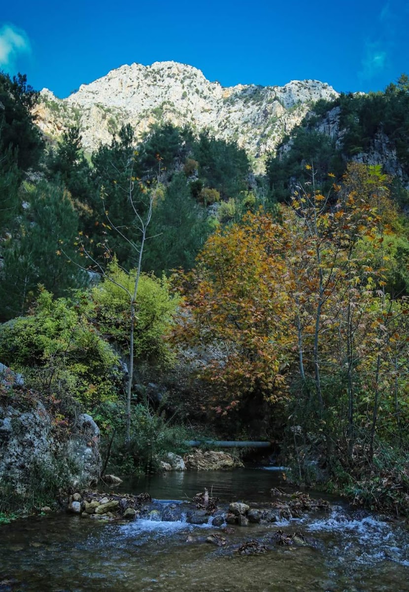 ملتقى النهرين Multaka Al Nahrain - Photo 6