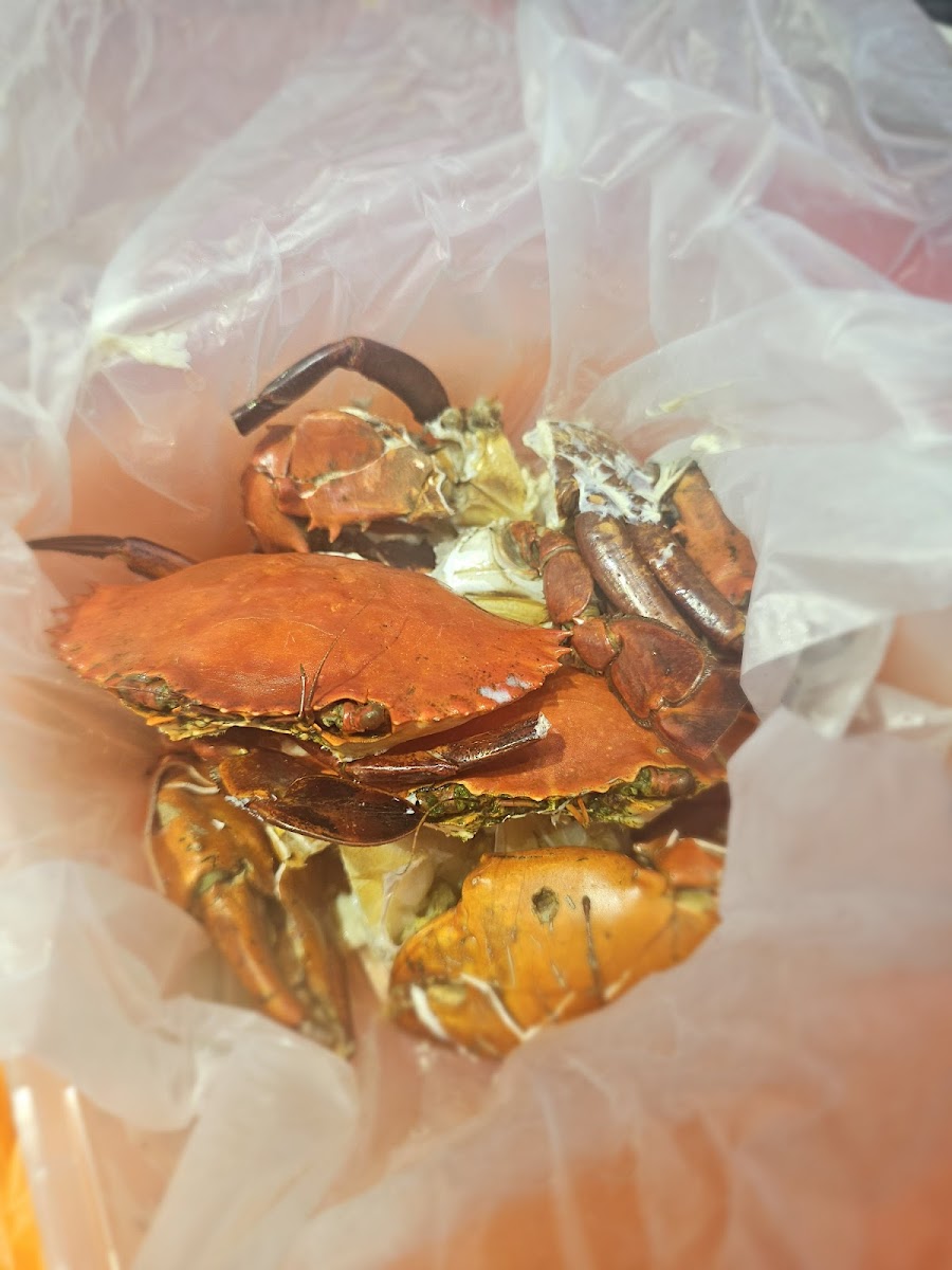 Chang Man Seafood Corner - Photo 9