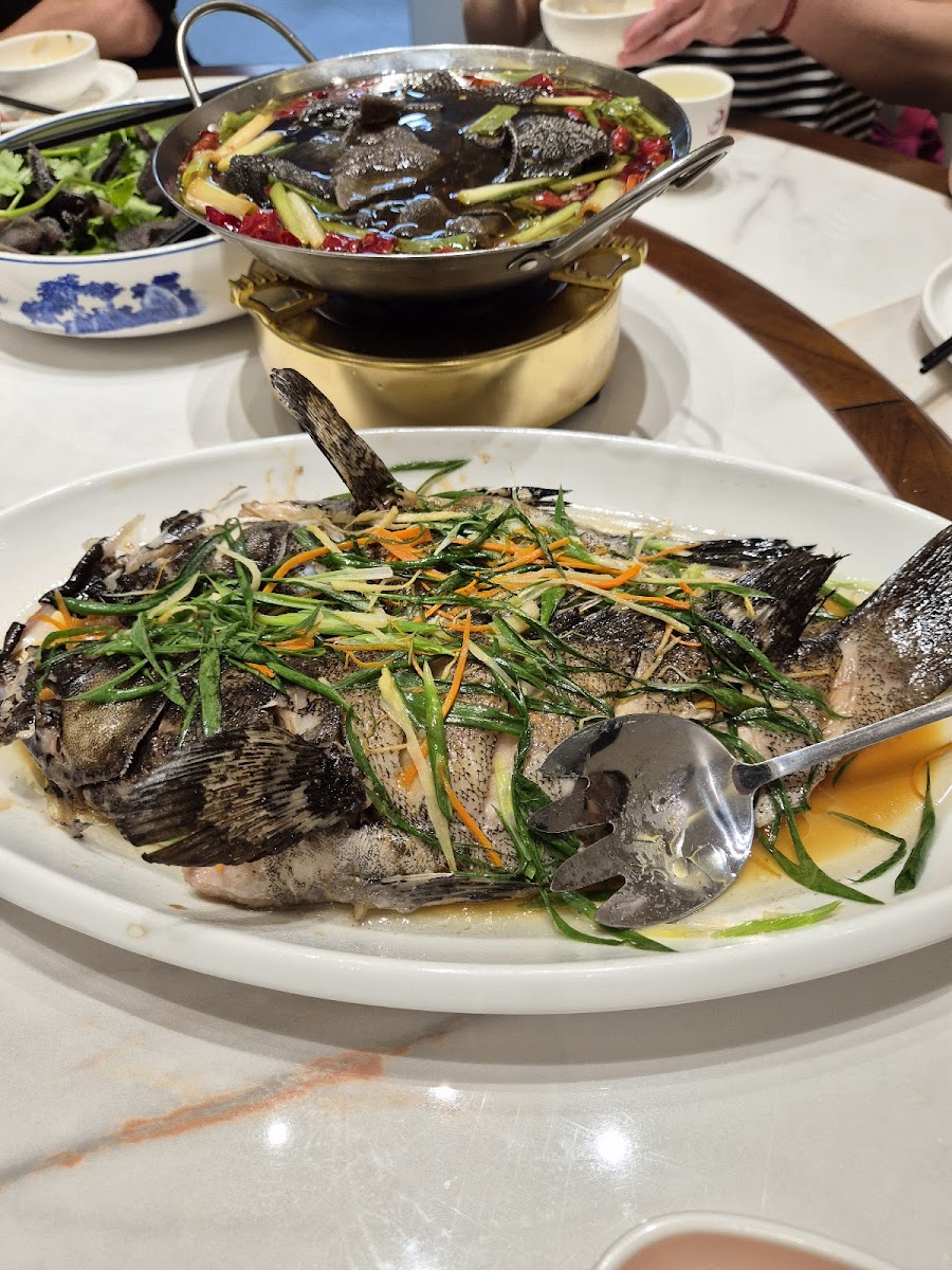 Edenvale XIANG Restaurant 聚湘缘酒楼 - Photo 5