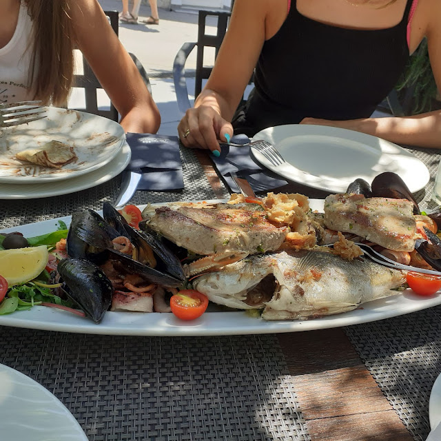 Fish Plate