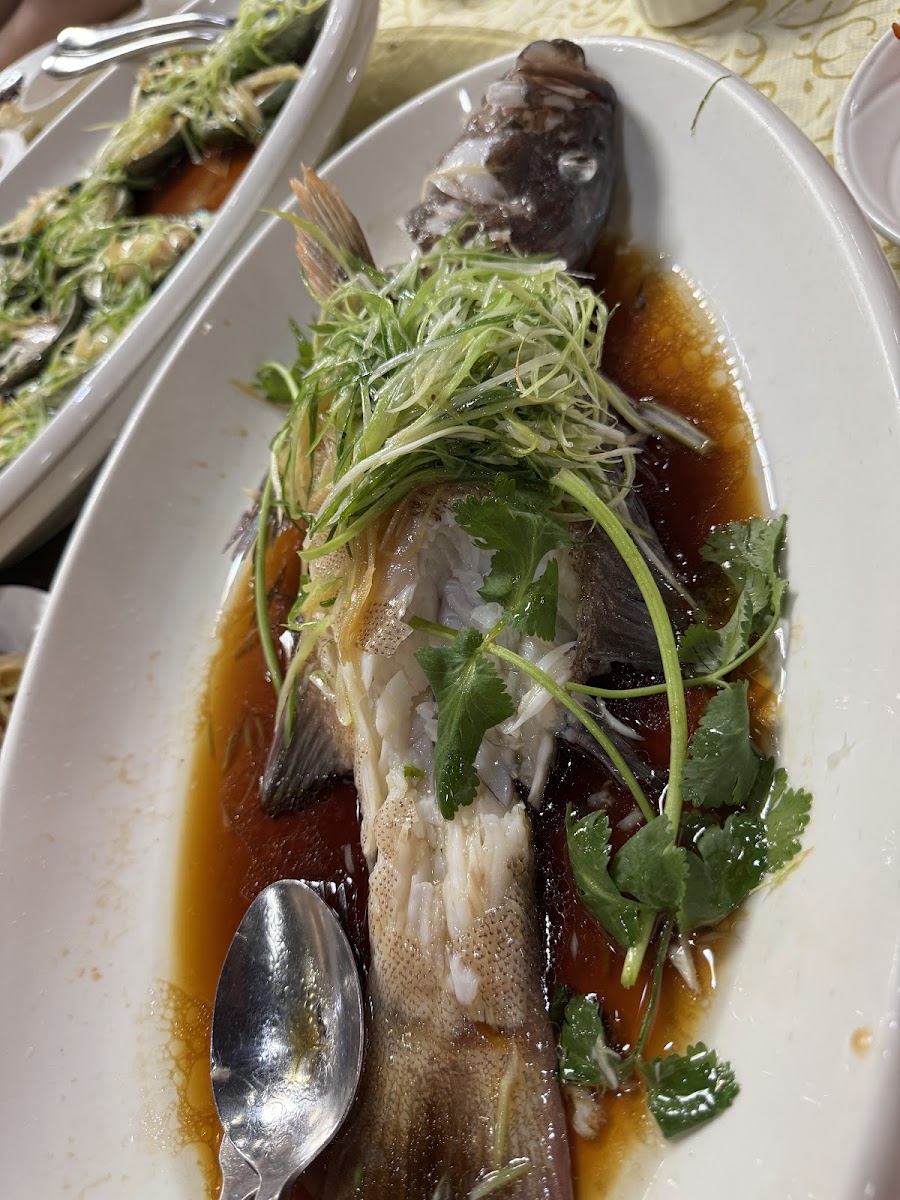 Sino Kitchen - Photo 2