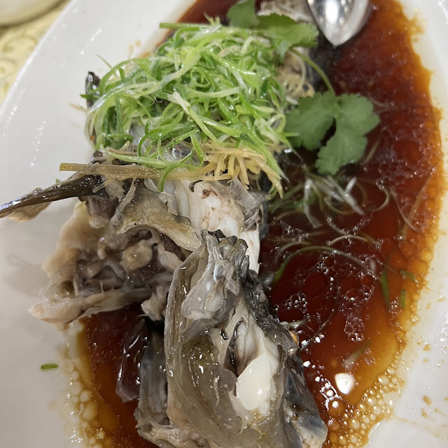 Steamed Fish with Ginger and Shallot