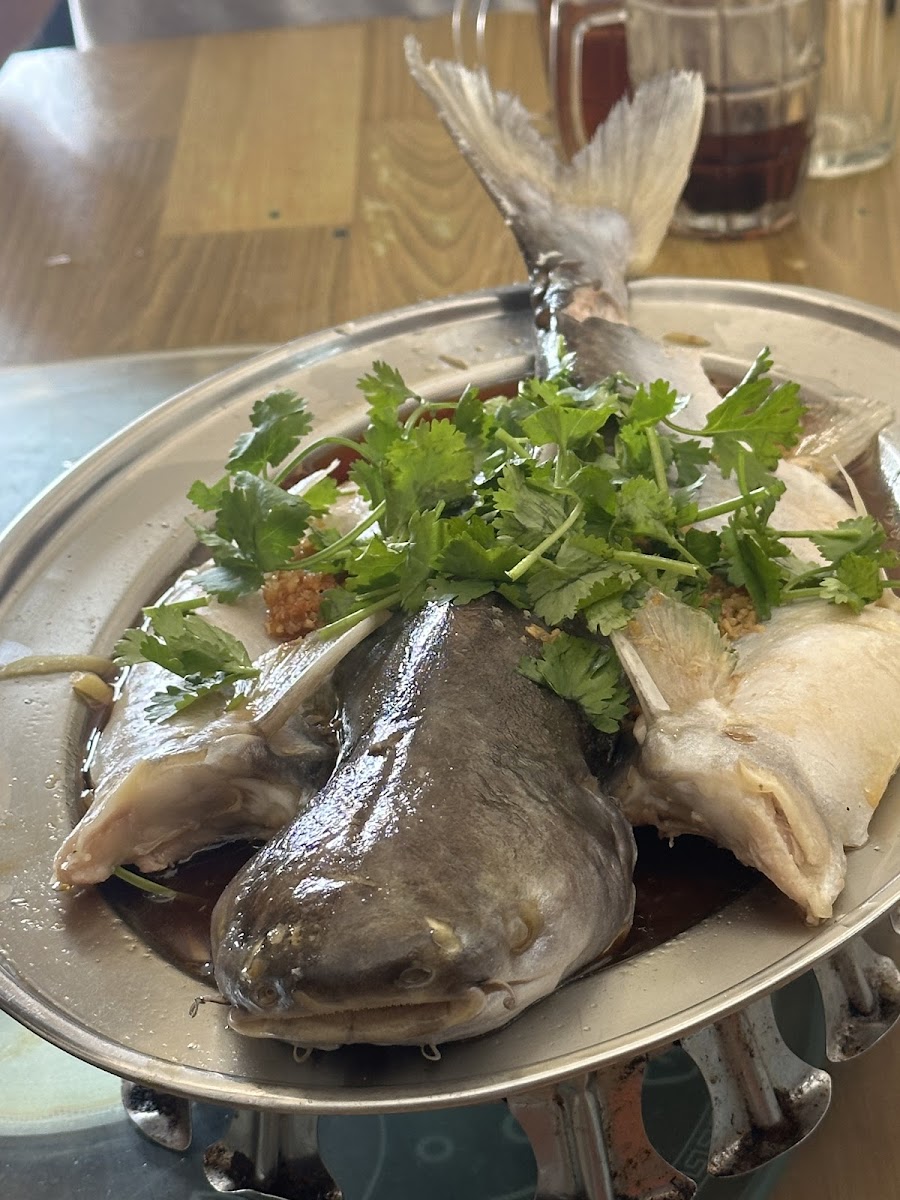 Restoran Hon Kee 漢记饭馆，Gua Musang - Photo 2