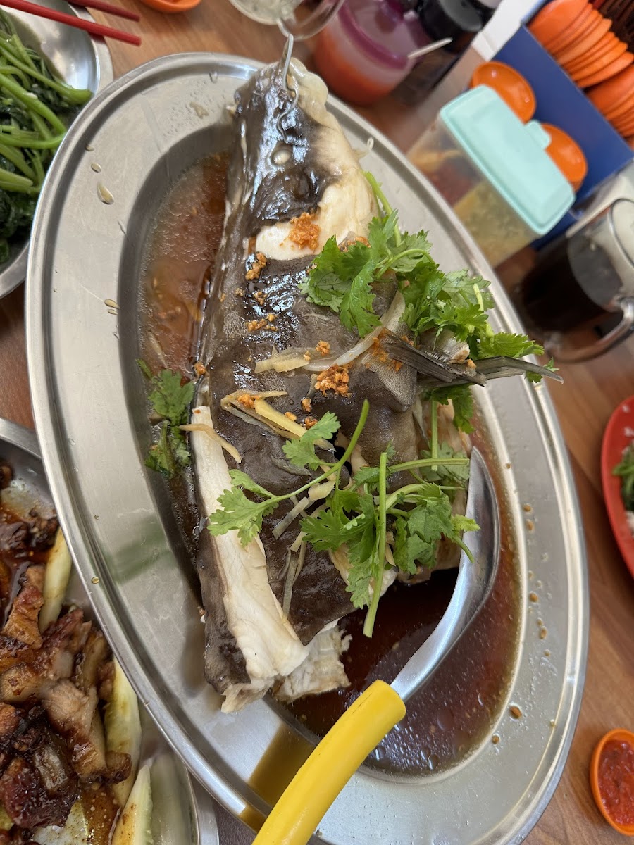 Restoran Hon Kee 漢记饭馆，Gua Musang - Photo 4