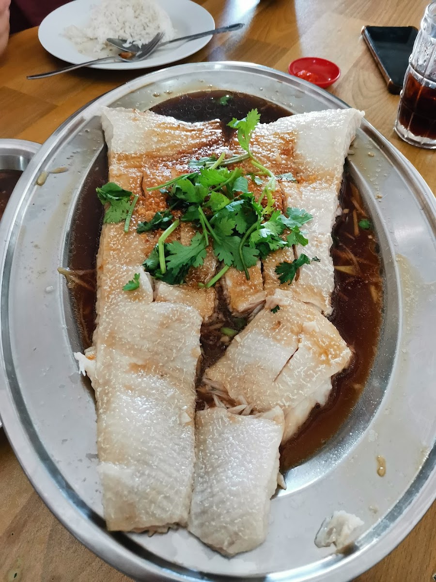 Restoran Hon Kee 漢记饭馆，Gua Musang - Photo 8