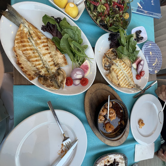 Variety of Fishes
