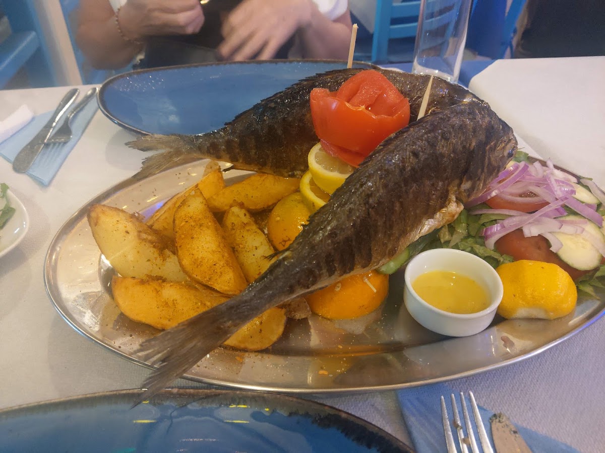 Syrtaki Taverne - Photo 4