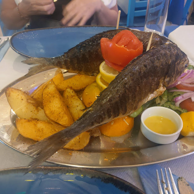 Sea Bream