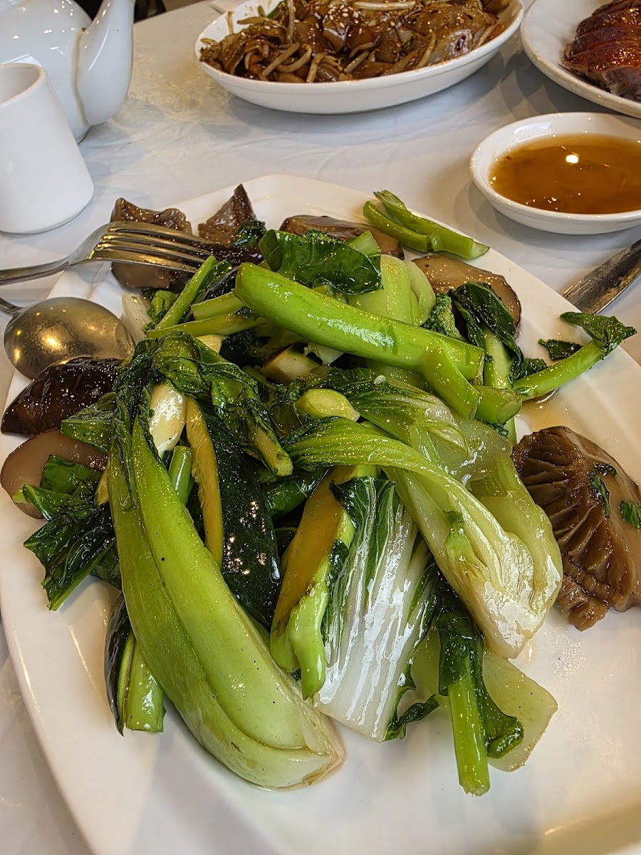 Parrot House Restaurant - Photo 5