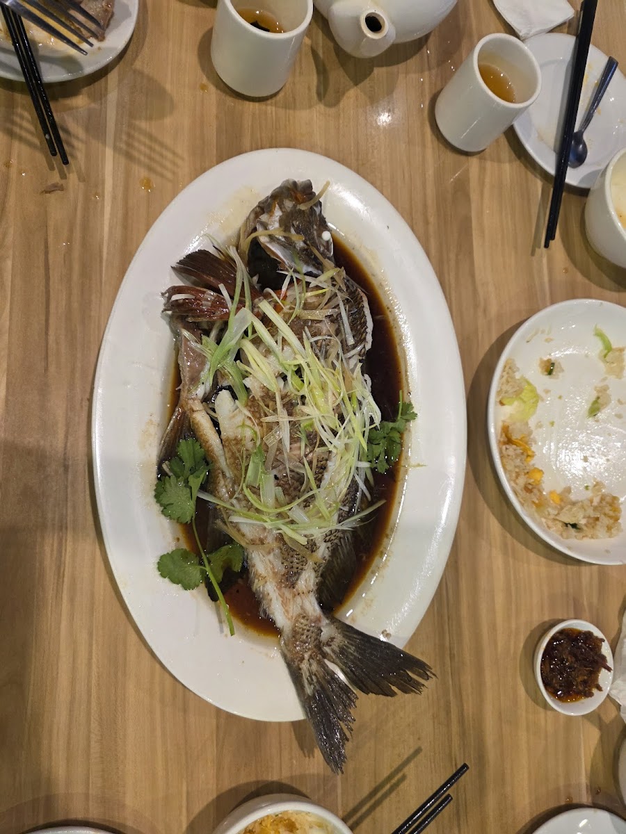 Parrot House Restaurant - Photo 7