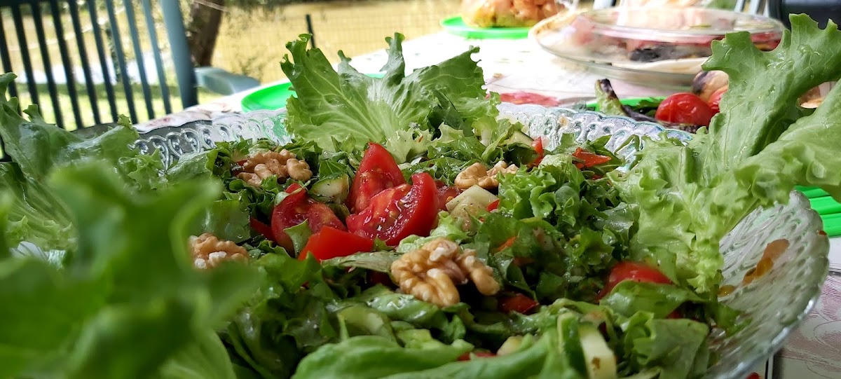 Saklı Nehir Piknik Alanı - Photo 9