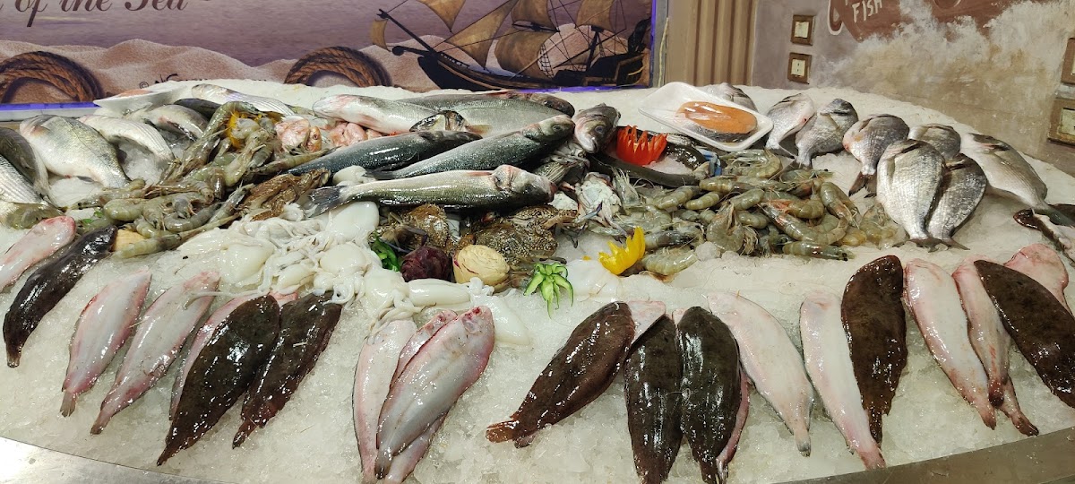Portofish - Photo 4