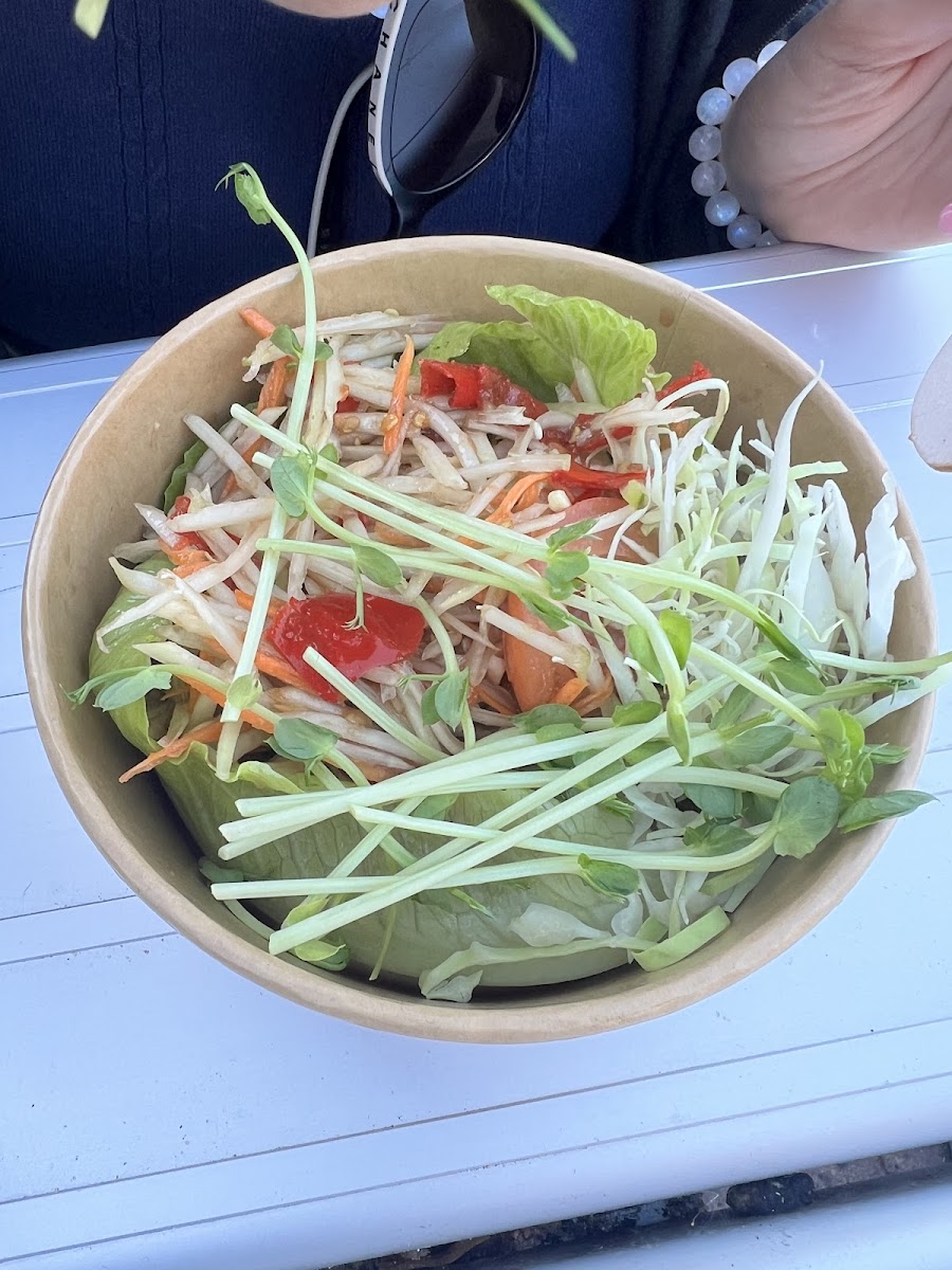 Thai Papaya Takeaway - Photo 7