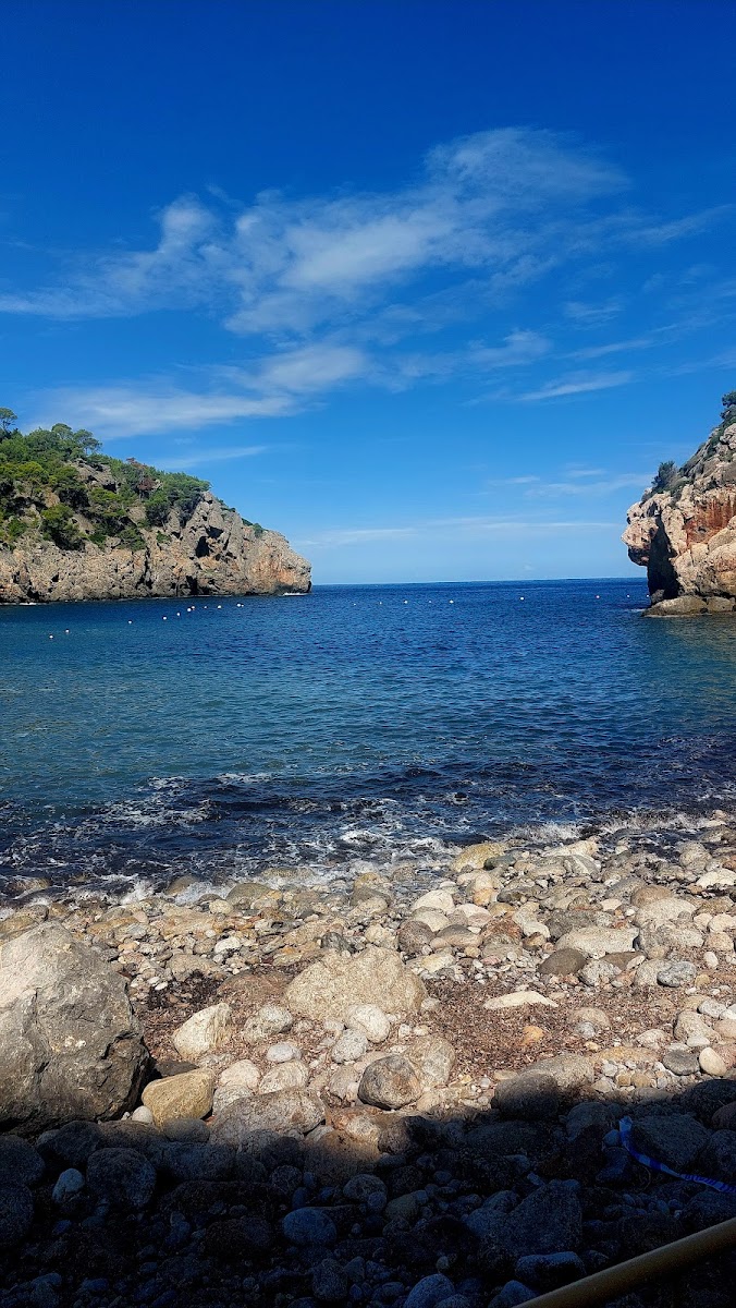 Ca'n Lluc - Photo 5