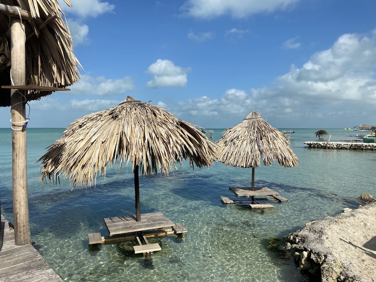 Blue Bayou - Photo 9