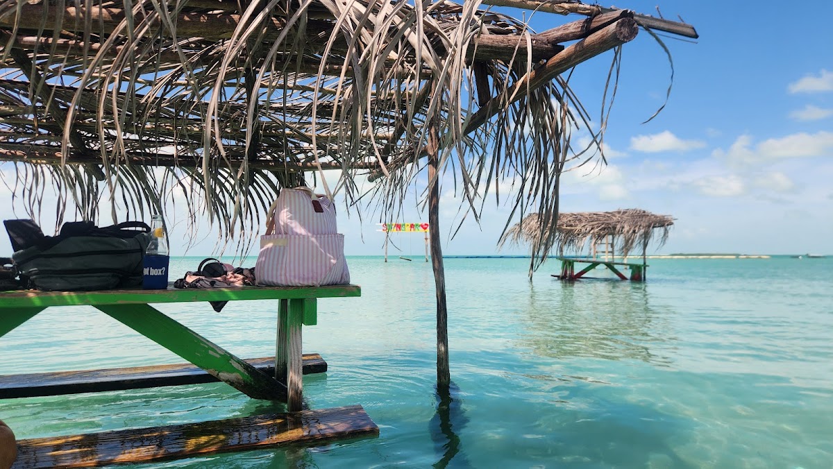 Blue Bayou - Photo 3