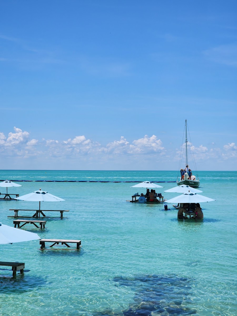 Blue Bayou - Photo 6