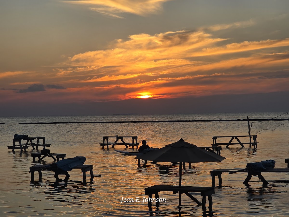 Blue Bayou - Photo 7