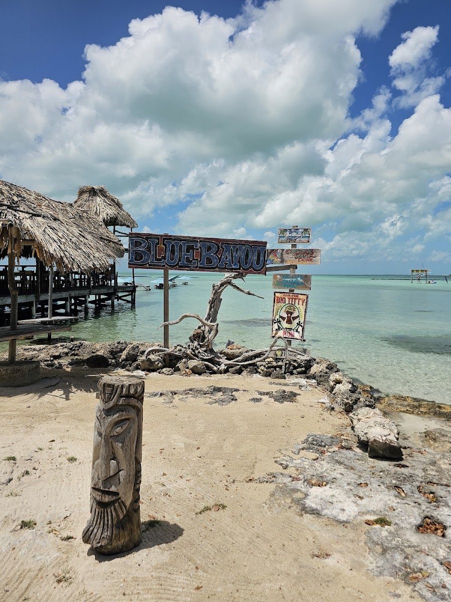 Blue Bayou - Photo 8