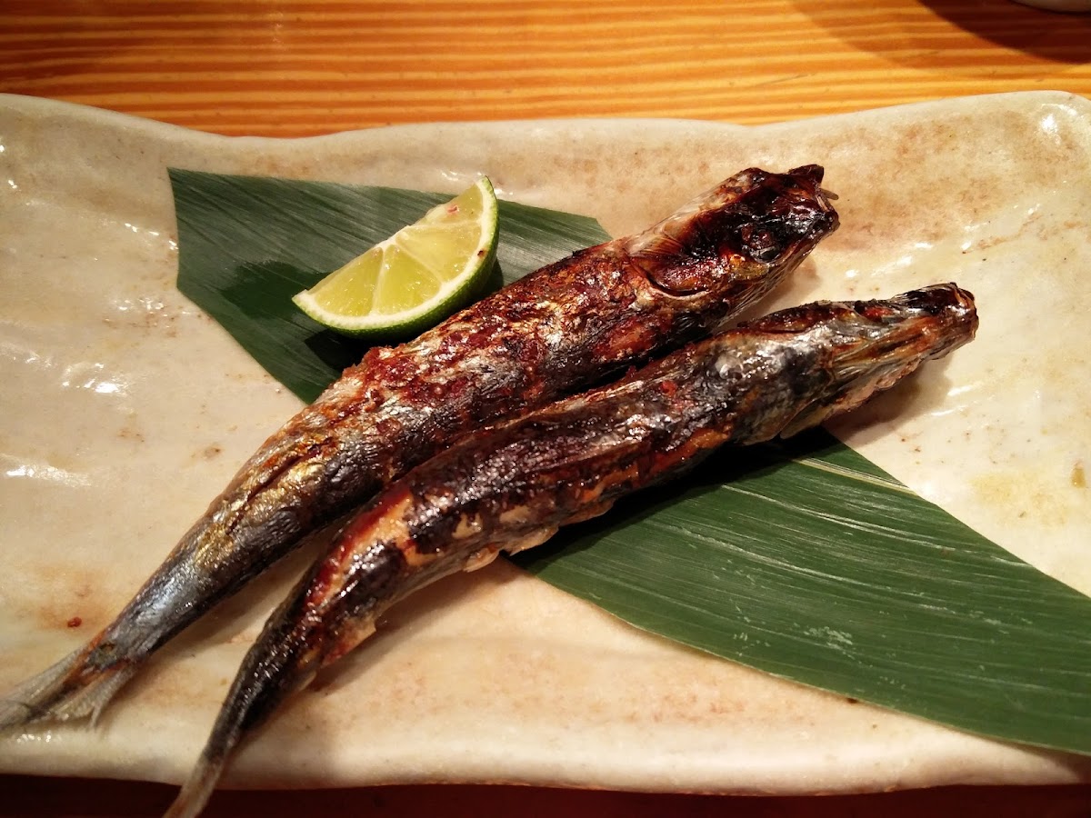 Sasagin - Photo 6