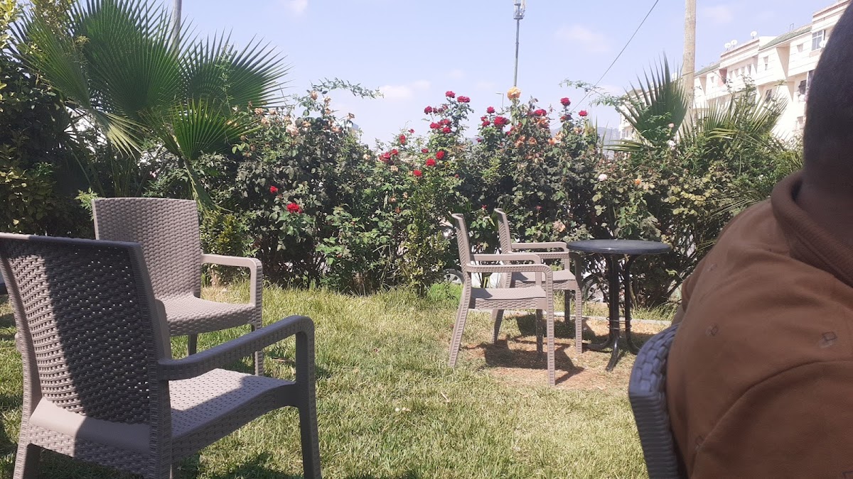 Café Hiba palace - Photo 6