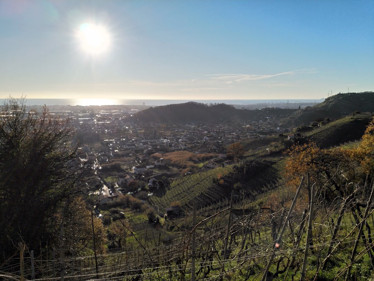 Circolo In Collina - Photo 2