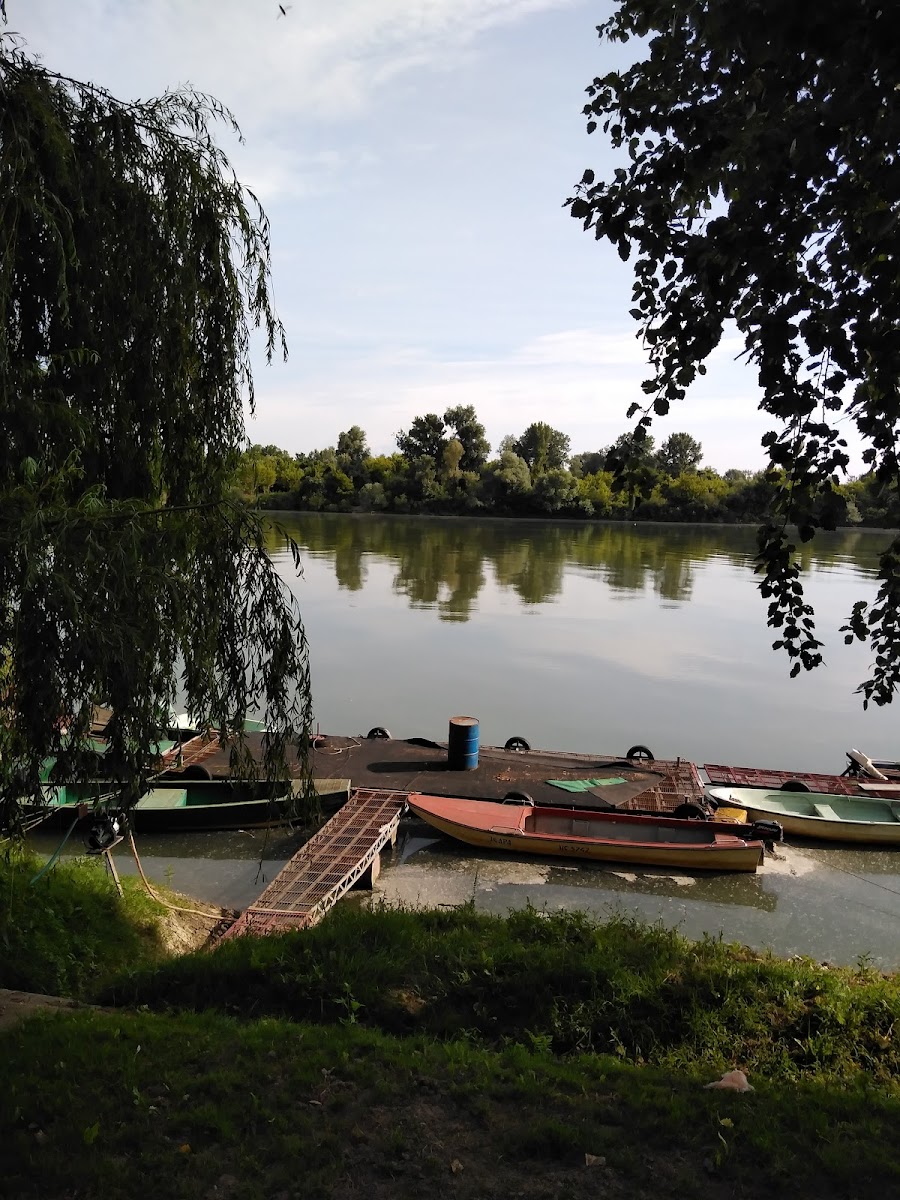Riblji Restoran Drozd - Photo 2