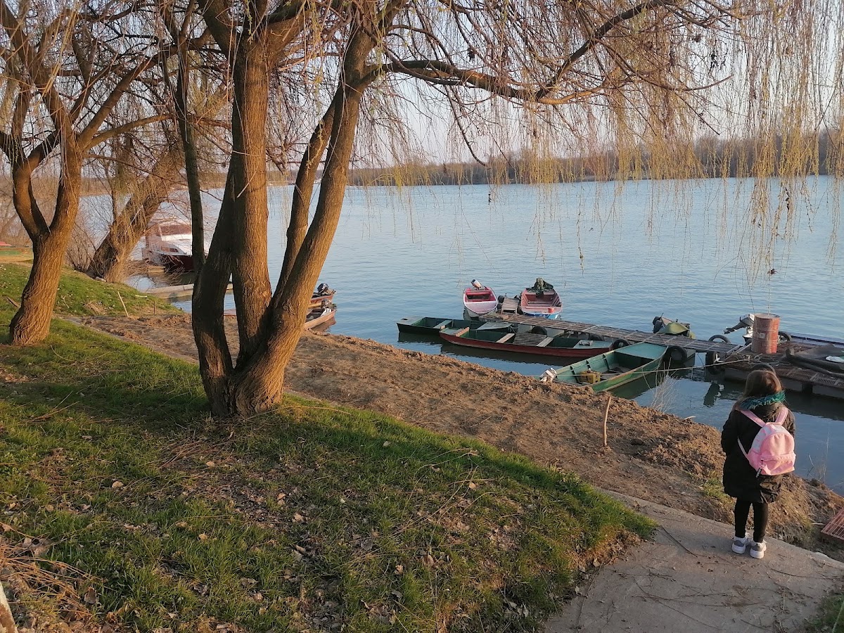 Riblji Restoran Drozd - Photo 7
