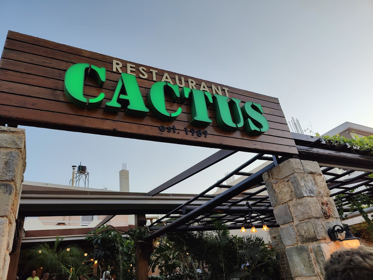 Cactus Tavern