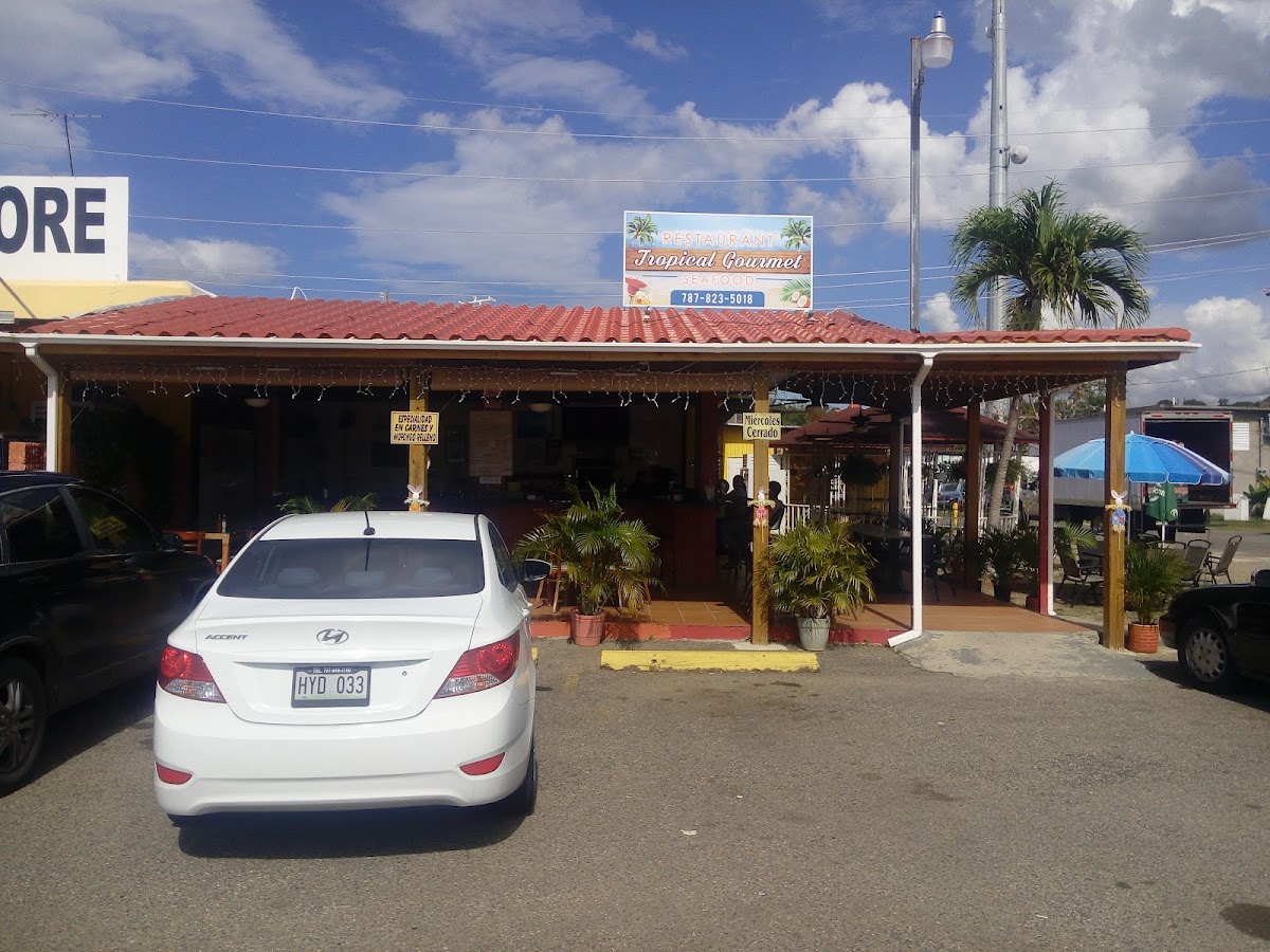 Tropical Gourmet